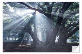 Selvklebende plakat Light rays at sunrise in a forest