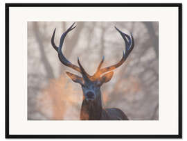 Gerahmter Kunstdruck Hirsch schnauft bei Sonnenaufgang in Richmond Park
