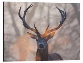 Magnettafel Hirsch schnauft bei Sonnenaufgang in Richmond Park