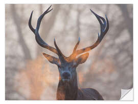 Wall sticker Stag breath at sunrise, Richmond park