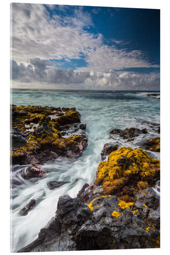 Acrylglasbild Gelbe Algen an der Küste von Big Island, Hawaii