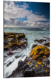 Cuadro de aluminio Yellow Seaweed at the Coast of Big Island, Hawaii