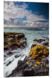 Hartschaumbild Gelbe Algen an der Küste von Big Island, Hawaii