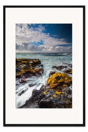 Gerahmter Kunstdruck Gelbe Algen an der Küste von Big Island, Hawaii