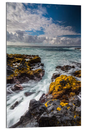 Gallery print Yellow Seaweed at the Coast of Big Island, Hawaii