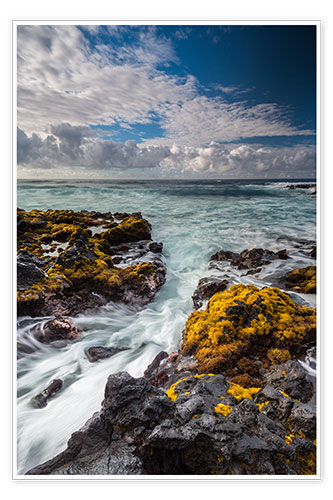Poster Yellow Seaweed at the Coast of Big Island, Hawaii