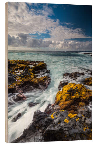 Print på træ Yellow Seaweed at the Coast of Big Island, Hawaii