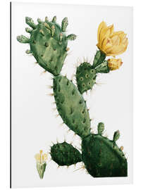 Aluminium print Opuntia