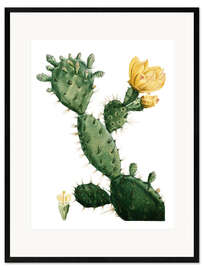 Framed art print Opuntia