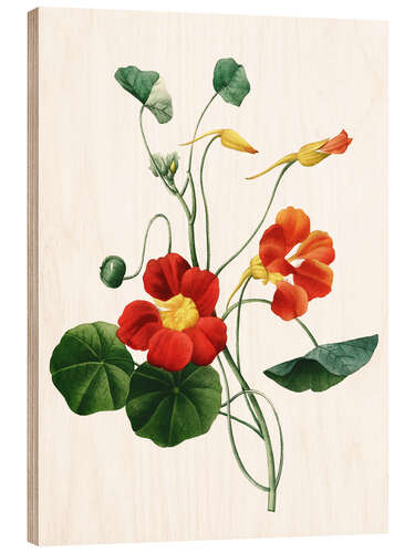 Wood print nasturtium