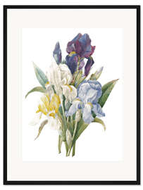 Gerahmter Kunstdruck Iris
