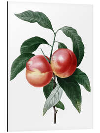 Magnettafel Pfirsich