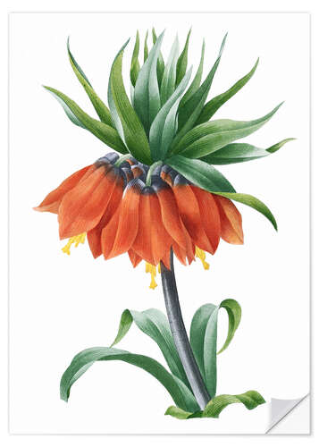 Selvklæbende plakat fritillaria imperialis