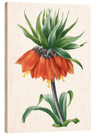 Holzbild Fritillaria Imperialis