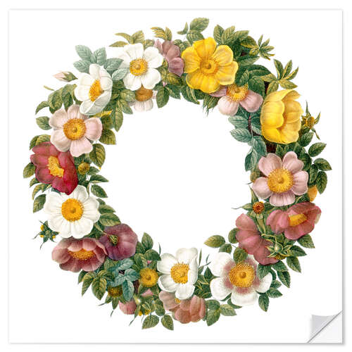 Selvklebende plakat Wreath of wild roses