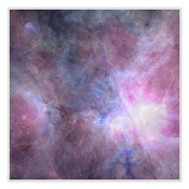 Obra artística  La densidad del Universo en púrpura - Barruf