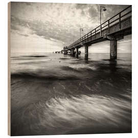 Puutaulu Sea Bridge with Seagulls / II