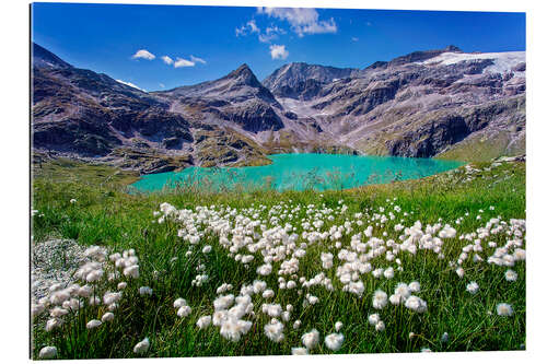 Gallery print Lake in the High Tauern National Park, Austria