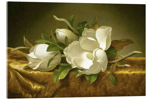 Akrylglastavla Magnolias on Gold Velvet Cloth