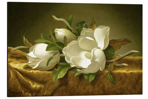 Aluminiumsbilde Magnolias on Gold Velvet Cloth