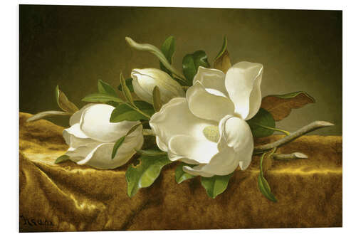 Tableau en PVC Magnolias sur une nappe en velours doré