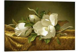 Galleritryk Magnolias on Gold Velvet Cloth