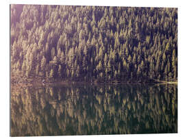 Tableau en plexi-alu Mountain Lake Reflection