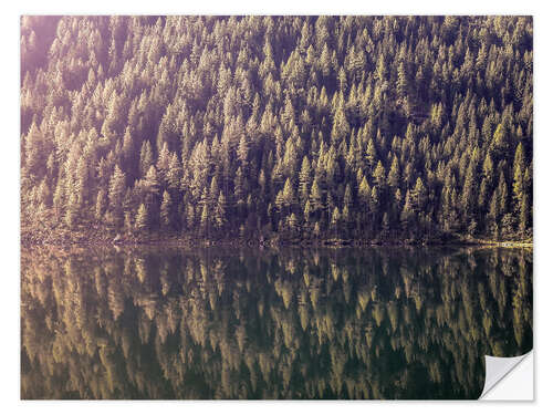 Selvklæbende plakat Mountain Lake Reflection