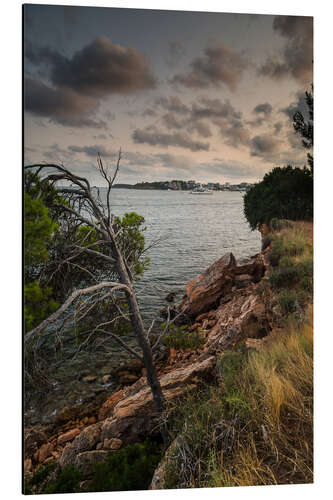 Aluminium print Coast - Majorca