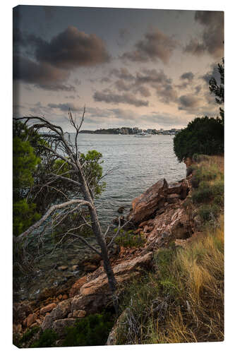 Lienzo Coast - Majorca