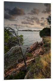 Galleritryck Coast - Majorca