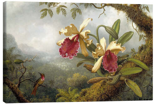 Canvas print Orchids and hummingbird