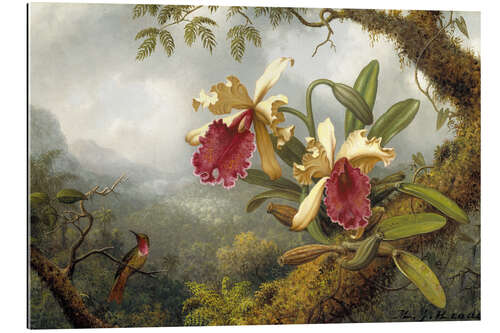 Galleriprint Orchids and Hummingbird