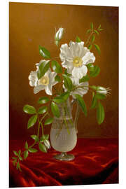 Foam board print Cherokee Roses in a Glass Vase