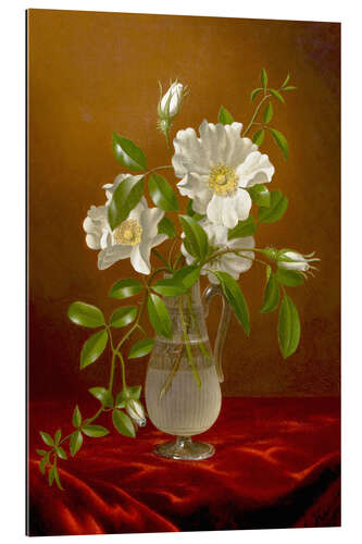 Gallery print Cherokee Roses in a Glass Vase