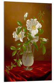 Gallery print Cherokee Roses in a Glass Vase