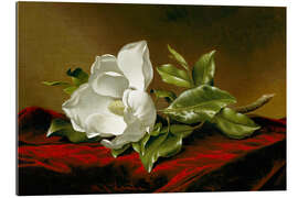 Gallery print Magnolia Grandiflora