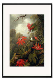 Gerahmter Kunstdruck Kolibri und Passionsblumen