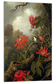 Gallery print Hummingbird and Passionflowers