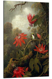 Magnettafel Kolibri und Passionsblumen