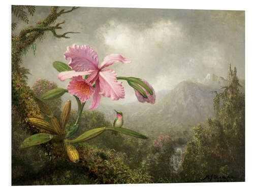 Foam board print Orchid and Hummingbird