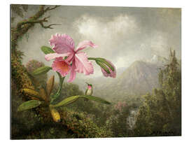 Galleriprint Orchid and Hummingbird