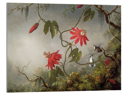 Galleriprint Passion Flowers and Hummingbirds