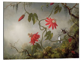 Magnettafel Kolibri auf einer Passionsblume