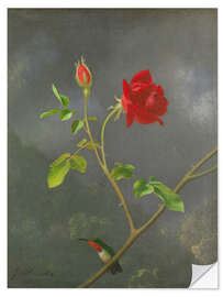 Wandsticker Kolibri auf einer Rose