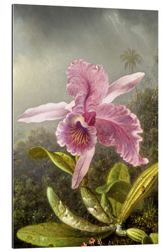 Galleriprint Hummingbird and orchid (detail)