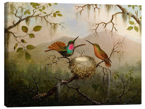 Canvas print Two hummingbirds at their nest