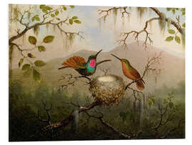 Foam board print Two hummingbirds at their nest