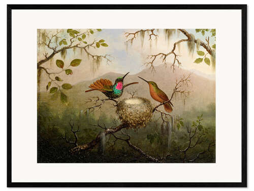 Framed art print Two hummingbirds at their nest