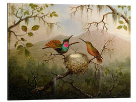 Gallery print Two hummingbirds at their nest